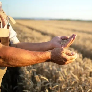 Gestion documentaire automatisée et dématérialisée pour le monde agricole